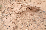 γغǵ5