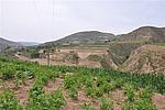 峤7