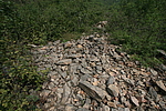 ı