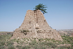 1ŷ̨[]