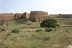 ƸԱ